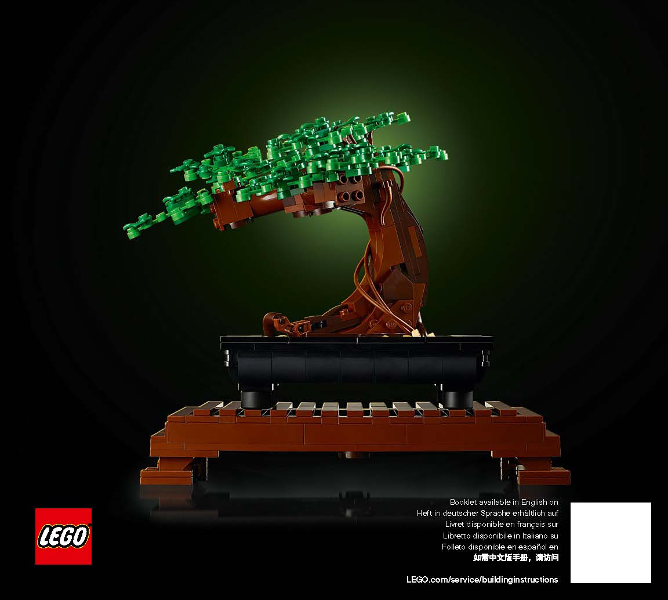 Bonsai Tree image 2