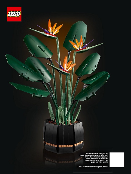 Bird of Paradise image 2