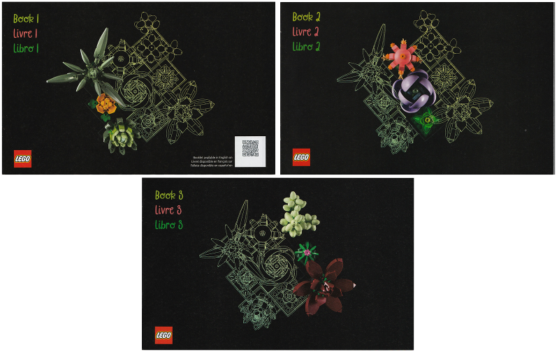 Succulents image 2