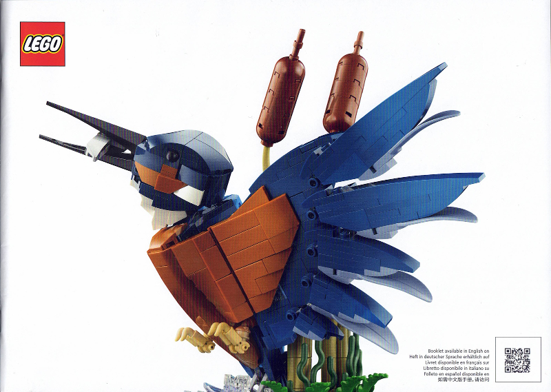 Kingfisher Bird