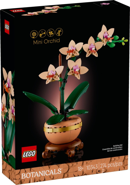 Mini Orchid image 3