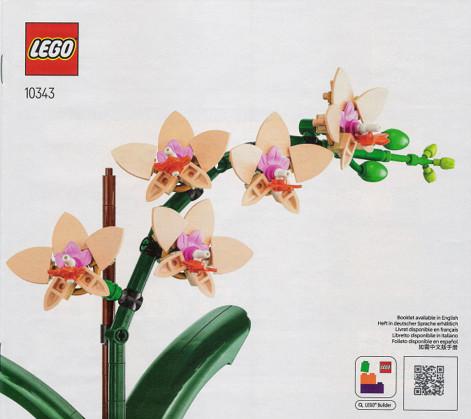 Mini Orchid
