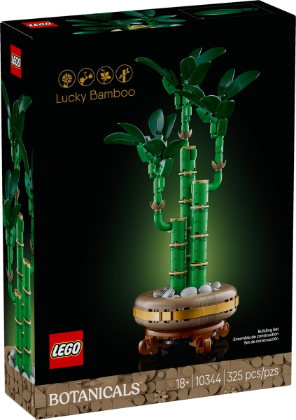Lucky Bamboo image 2