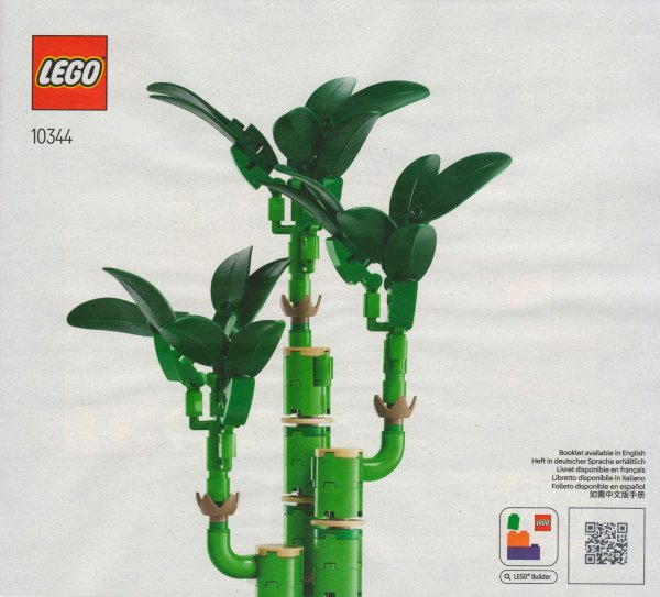 Lucky Bamboo