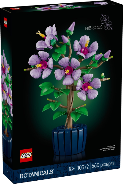 Hibiscus image 3