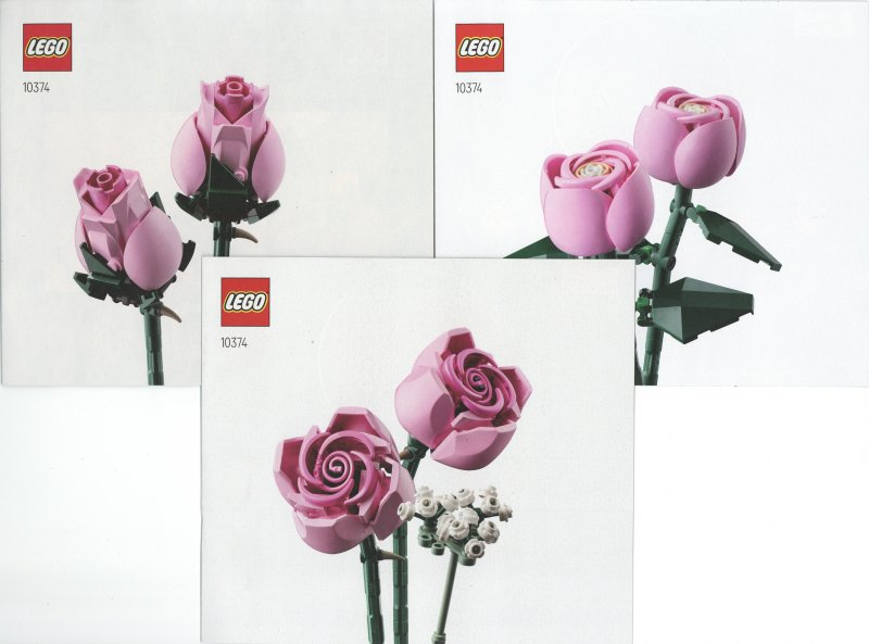Bouquet of Pink Roses