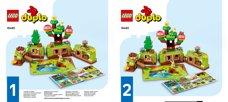 Discovery Forest with Wild Animals image 3
