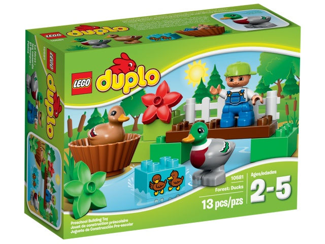 Forest: Ducks