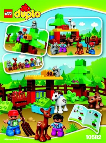 Forest: Animals image 3