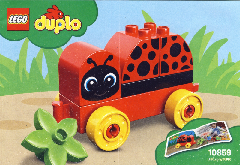 My First Ladybug
