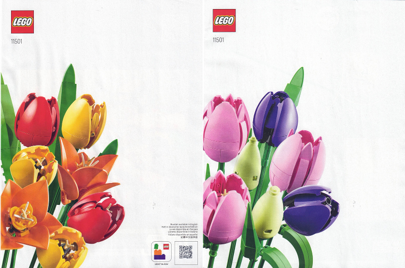 Tulip Bouquet