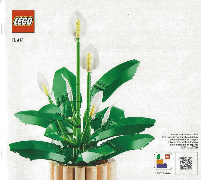 Peace Lily