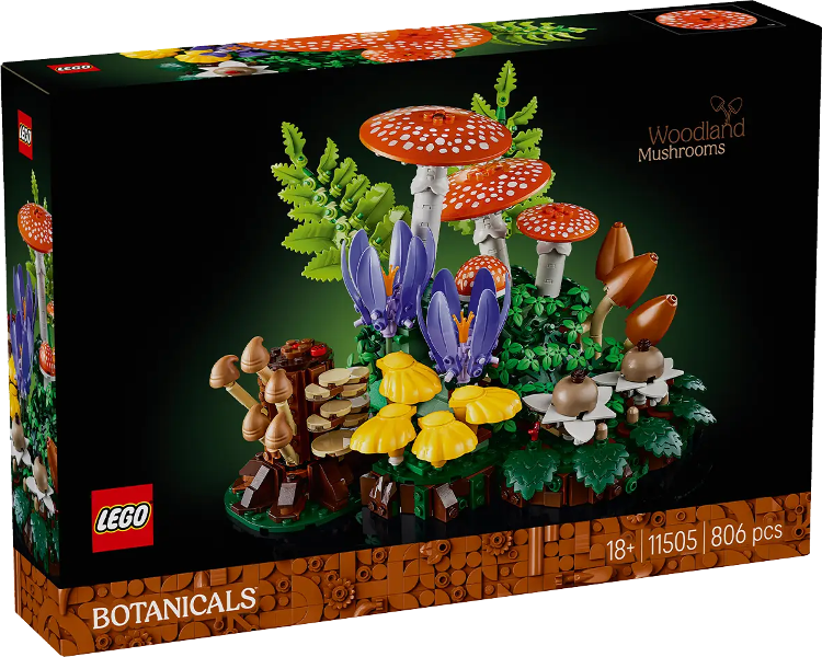 Woodland Mushrooms image 2