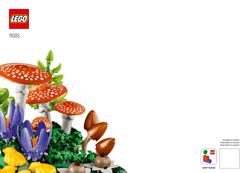 Woodland Mushrooms
