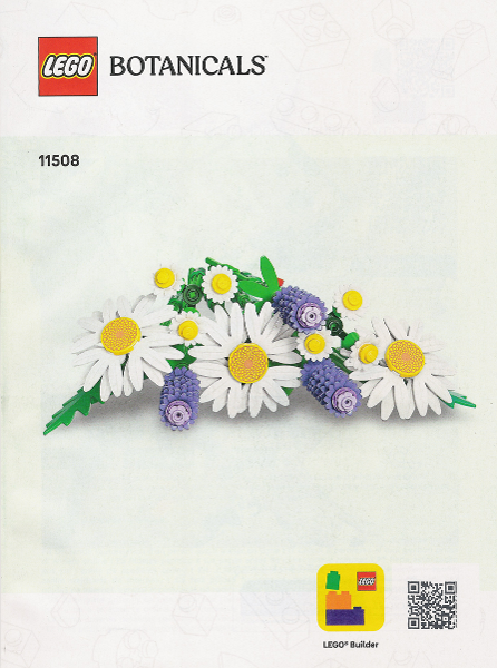 Daisies image 2