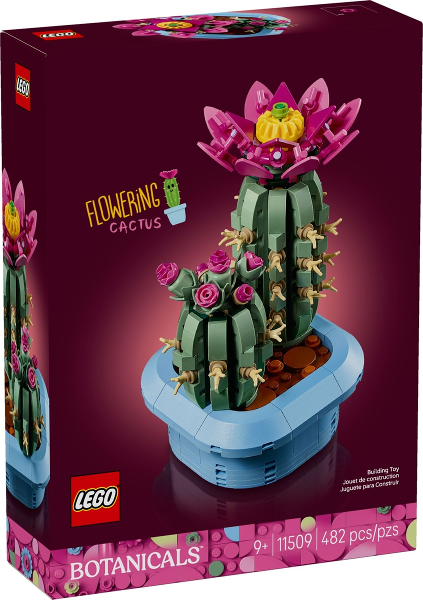 Flowering Cactus image 2