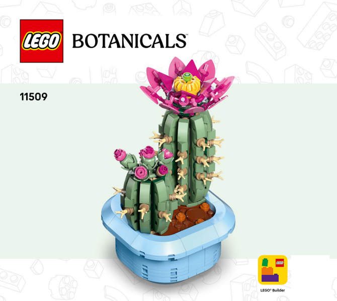 Flowering Cactus