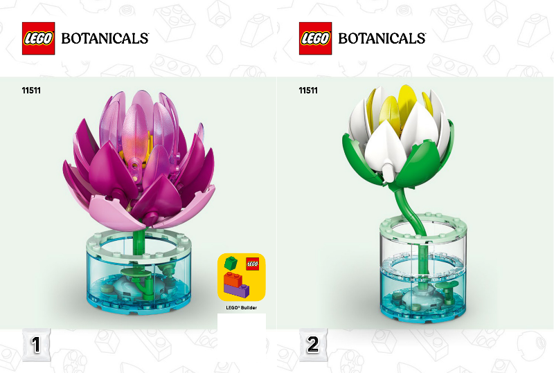 Water Lilies