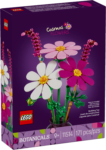 Cosmos Flowers image 2
