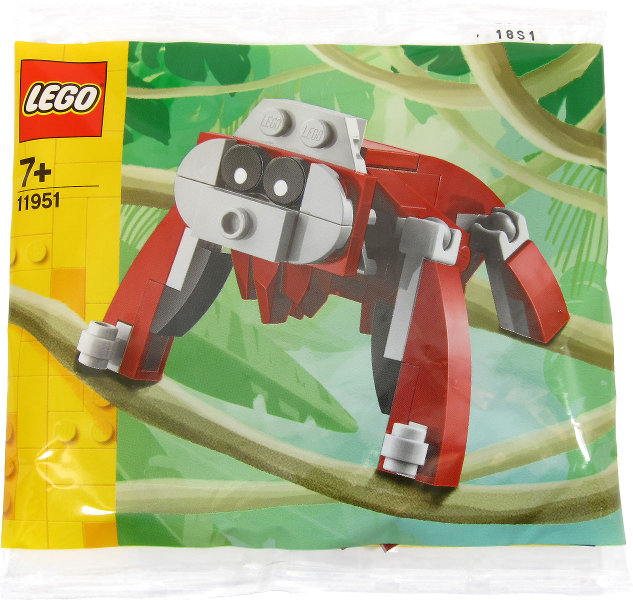 Orangutan