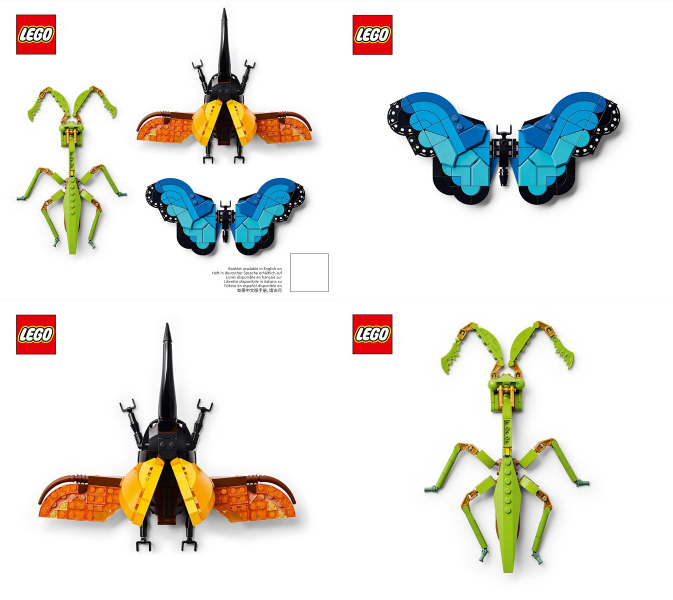 The Insect Collection image 3