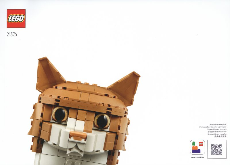 Orange Cat