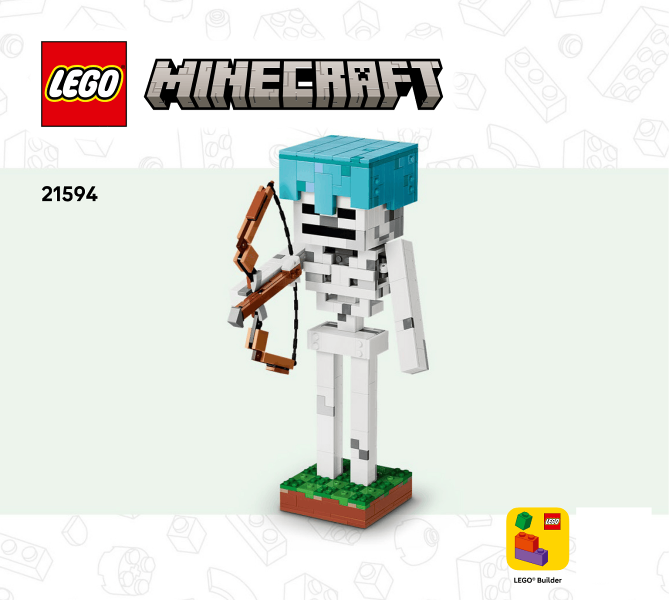 The Skeleton