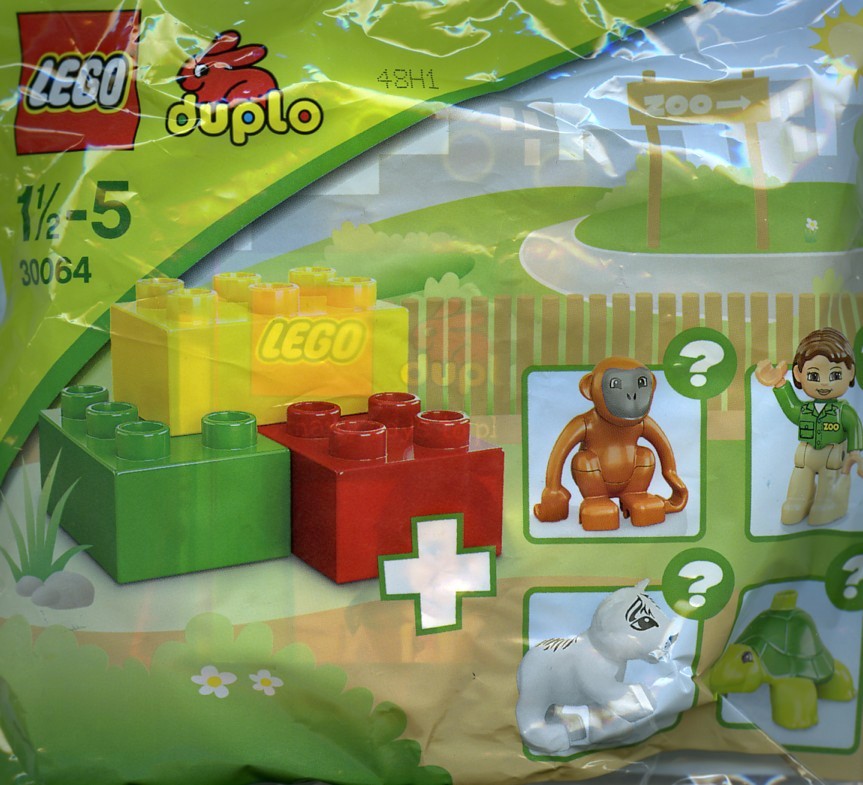 Zoo - Turtle