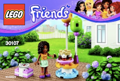 Birthday Party image 3