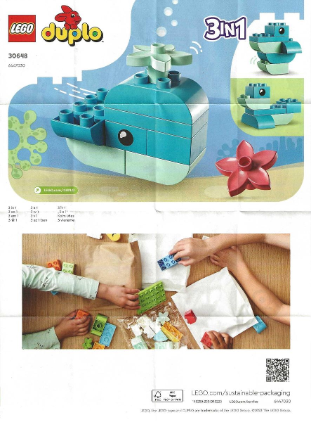Whale image 3