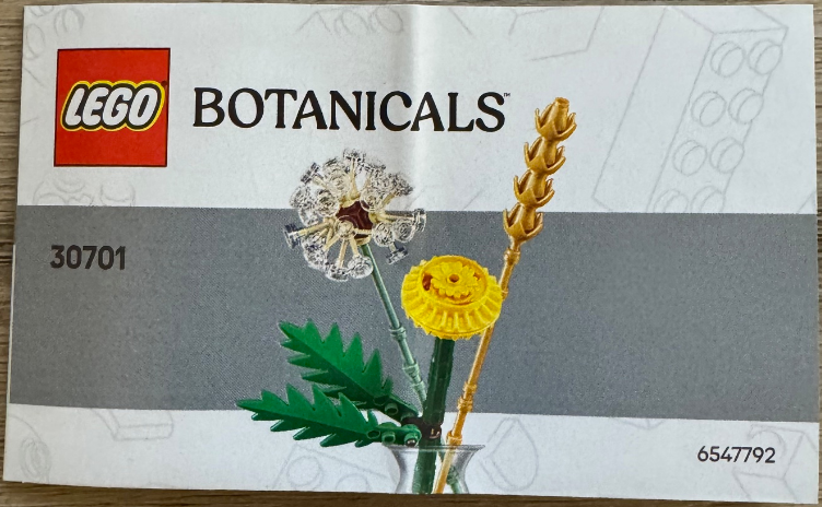 Field Flowers