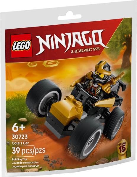 Ninja Cole's Car image 3