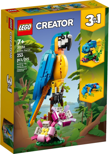 Exotic Parrot image 2
