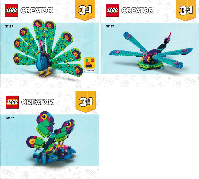 Exotic Peacock image 3
