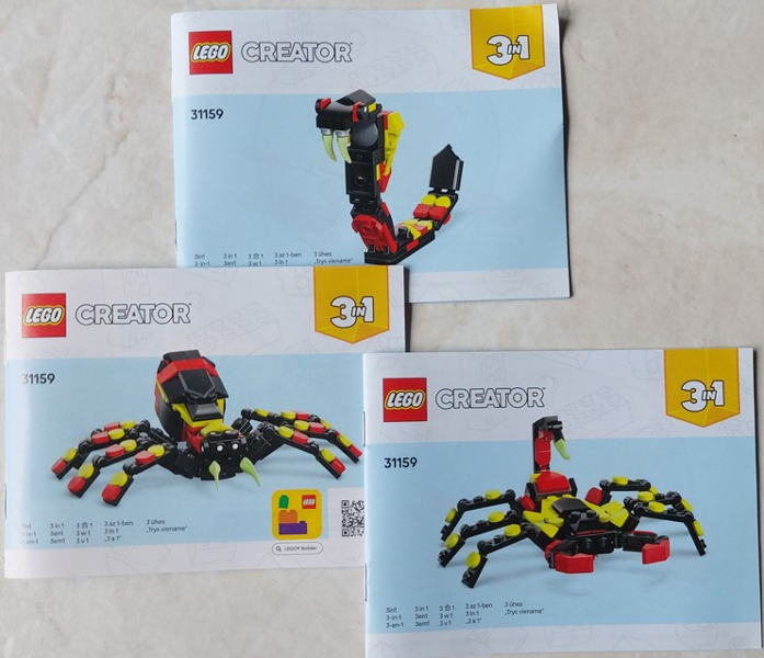 Wild Animals: Surprising Spider