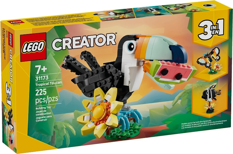 Wild Animals: Tropical Toucan image 2