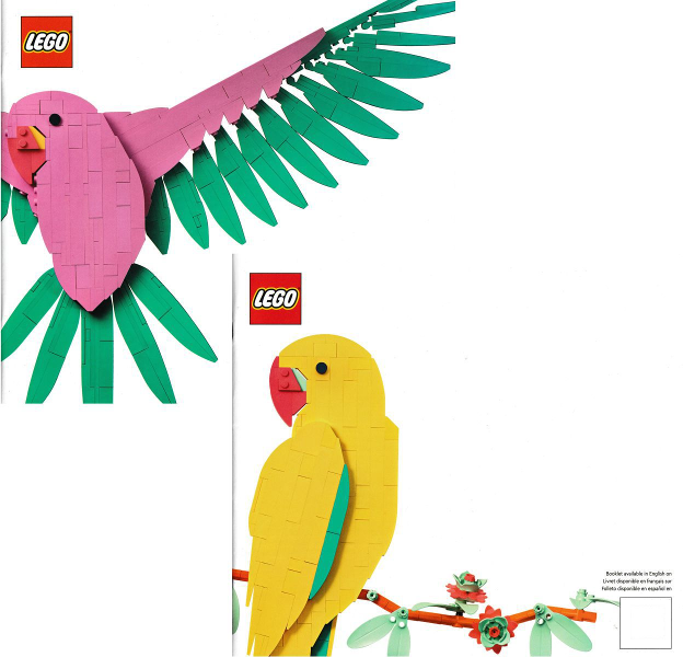 Macaw Parrots image 2