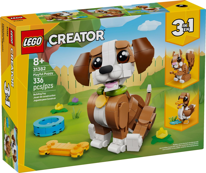 Cute Animals: Playful Puppy Dog