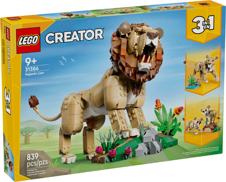Wild Animals: Majestic Lion