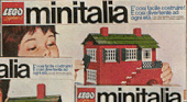 Large House Set image 2
