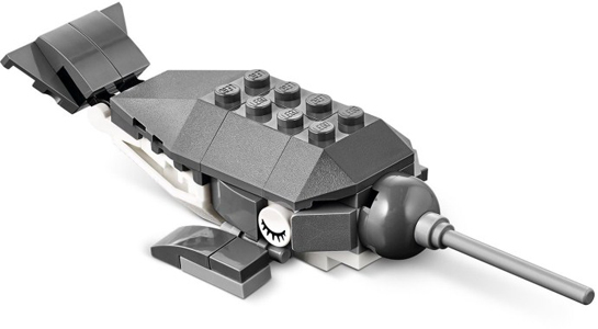 Narwhal image 2