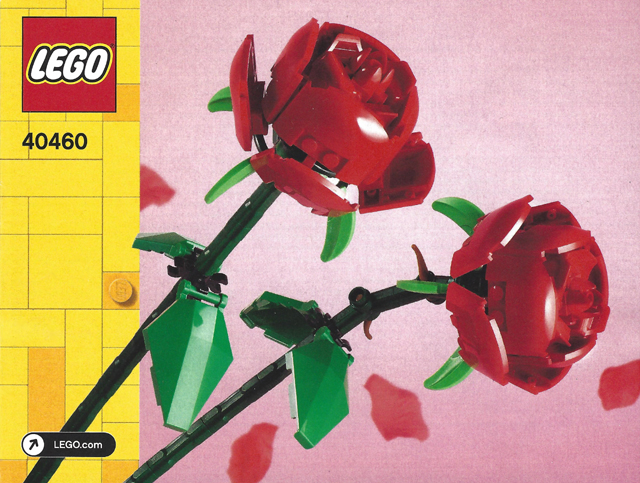 Roses image 2