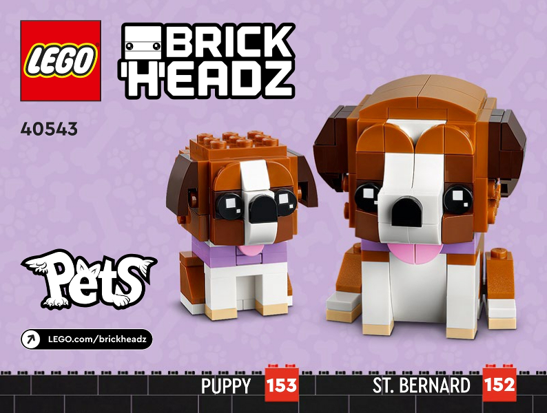 St. Bernard