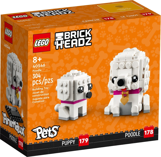 Poodle image 3