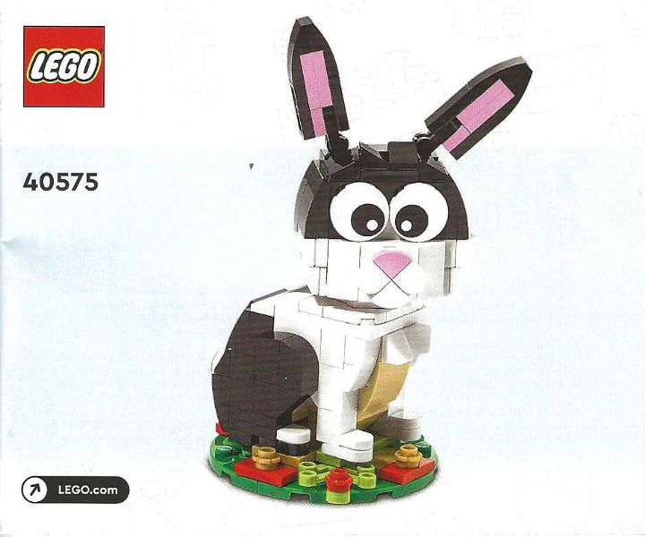 Year of the Rabbit