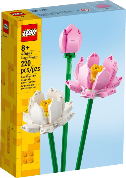 Lotus Flowers image 2