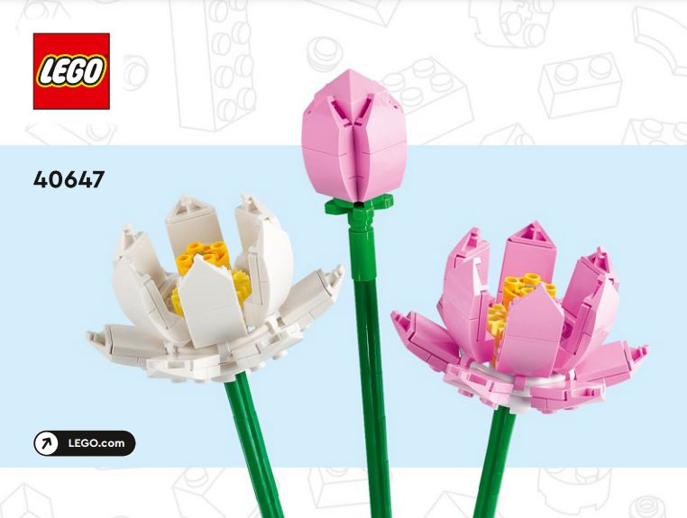 Lotus Flowers