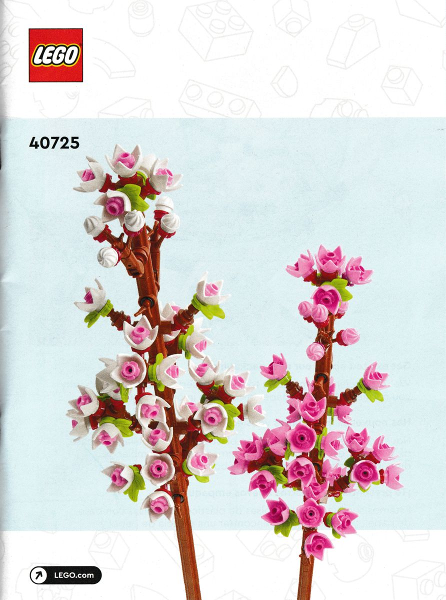 Cherry Blossoms image 2