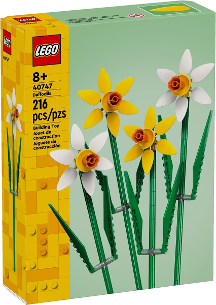 Daffodils image 2