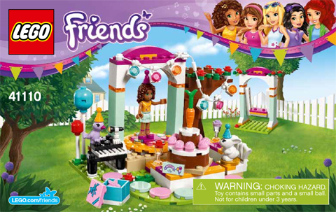 Birthday Party image 3